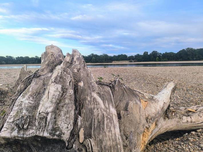 Gîte pour 5 personnes à La Chapelle-sur-Loire - 2