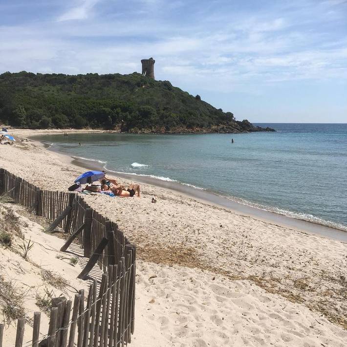 Chambre d’hôte pour 2 personnes, avec terrasse ainsi que jardin et piscine à Zonza - 3