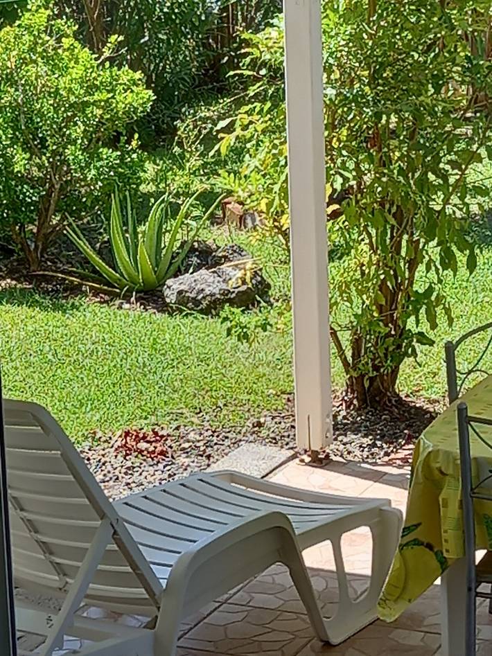 Location de vacances pour 4 personnes, avec terrasse dans Marie-Galante - 4