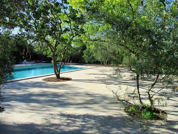 Gîte pour 8 personnes, avec piscine ainsi que terrasse et jardin, animaux acceptés à Uzès - 4