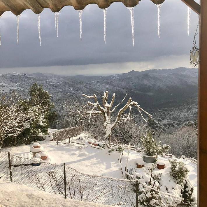 Gîte pour 4 personnes, avec terrasse et vue à Vezzani - 4