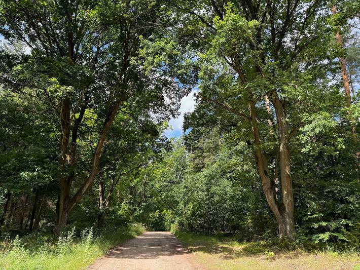 Ferienwohnung für 5 Personen, mit Garten und Terrasse, kinderfreundlich in Lärz - 4