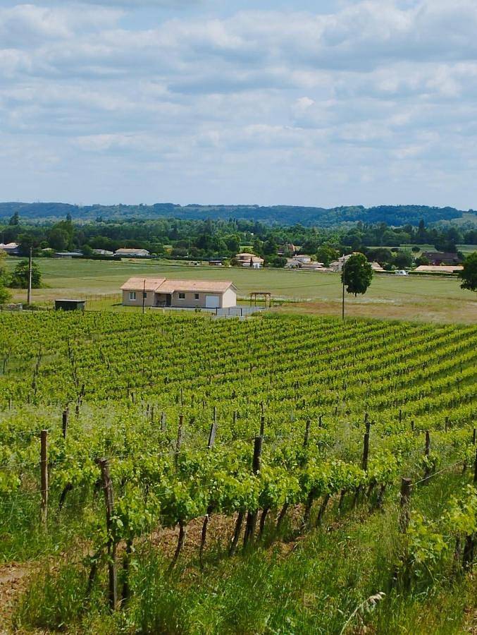 Location de vacances pour 6 personnes, avec jardin ainsi que vue et piscine à Montcaret - 3