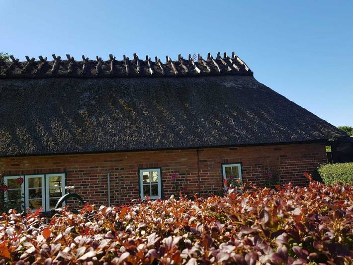Ferienhaus für 4 Personen, mit Terrasse und Garten, mit Haustier in Langballig und Umgebung - 4