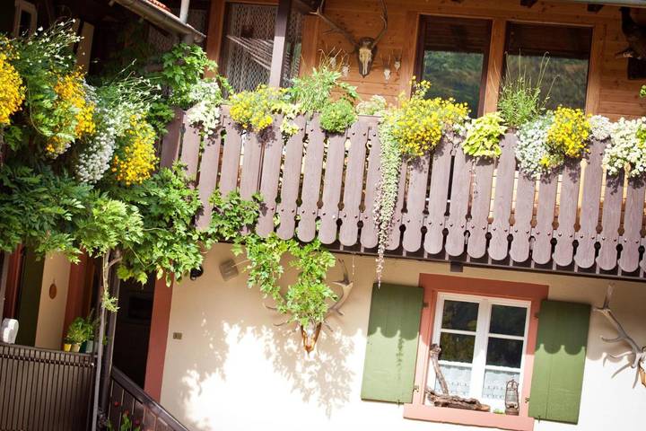 Gîte pour 3 personnes, avec jardin et terrasse, animaux acceptés à Durbach - 2