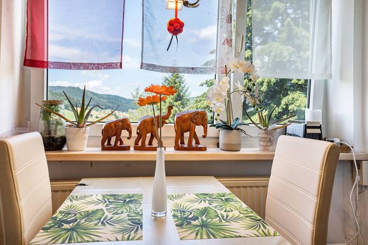 Studio für 2 Personen, mit Balkon und Garten sowie Sauna in Baiersbronn - 4