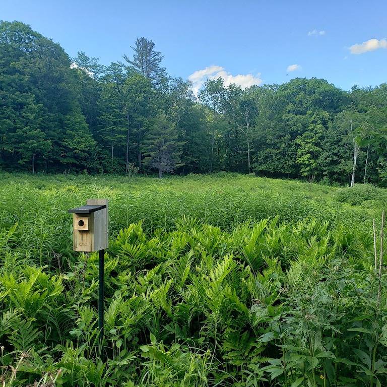 Ganze Wohnung, Hawks Mountain Farm, full apartment on a working farm. in Windsor County