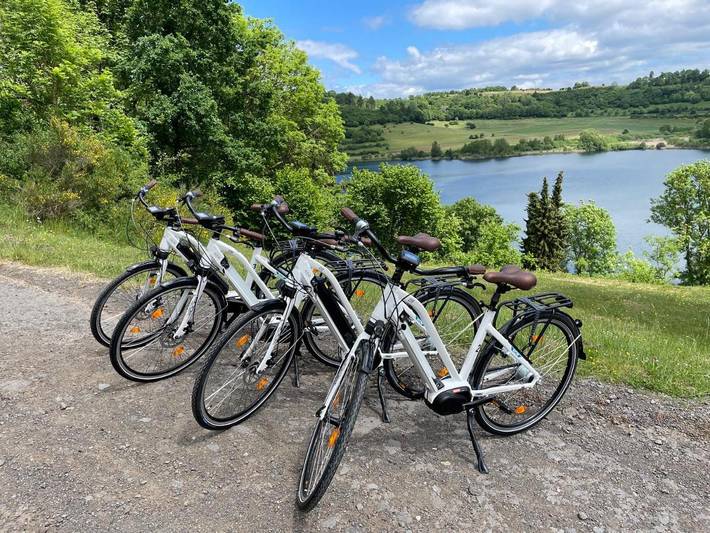 Ferienhaus für 5 Personen, mit Garten und Ausblick sowie Seeblick und Sauna in der Eifel - 4