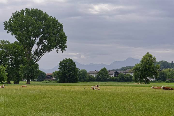 Ganze Ferienwohnung, Ferienwohnung Neumeier Theresia und Rosemarie - renovierte Ferienwohnung mit 2 Balkonen in Prien, Prien am Chiemsee