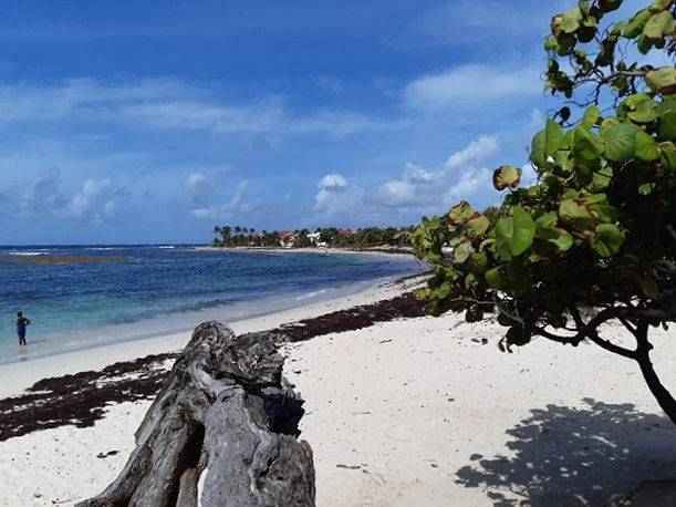 Appartement de vacances pour 5 personnes, avec piscine ainsi que terrasse et jardin