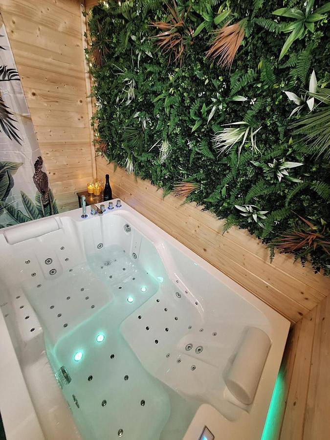 Gîte pour 2 personnes, avec terrasse et jacuzzi à Durfort-Lacapelette - 3