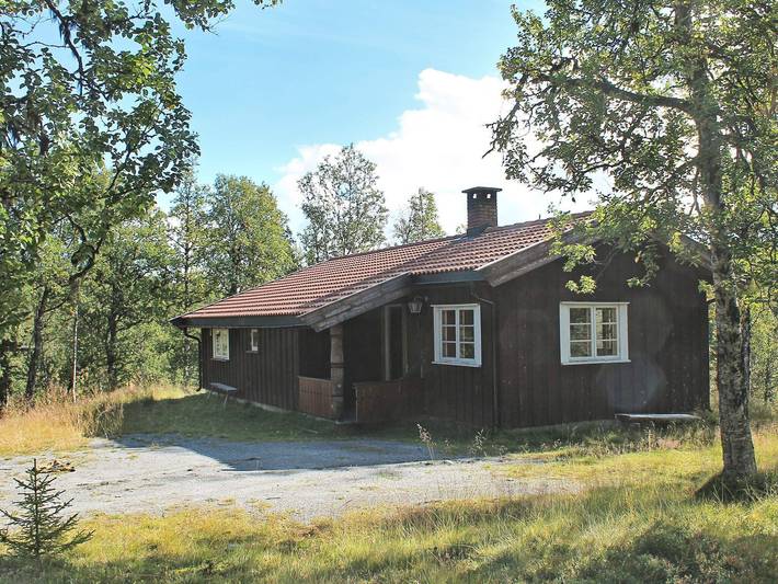 6 person ferie hjemme i Nesbyen in Nesbyen