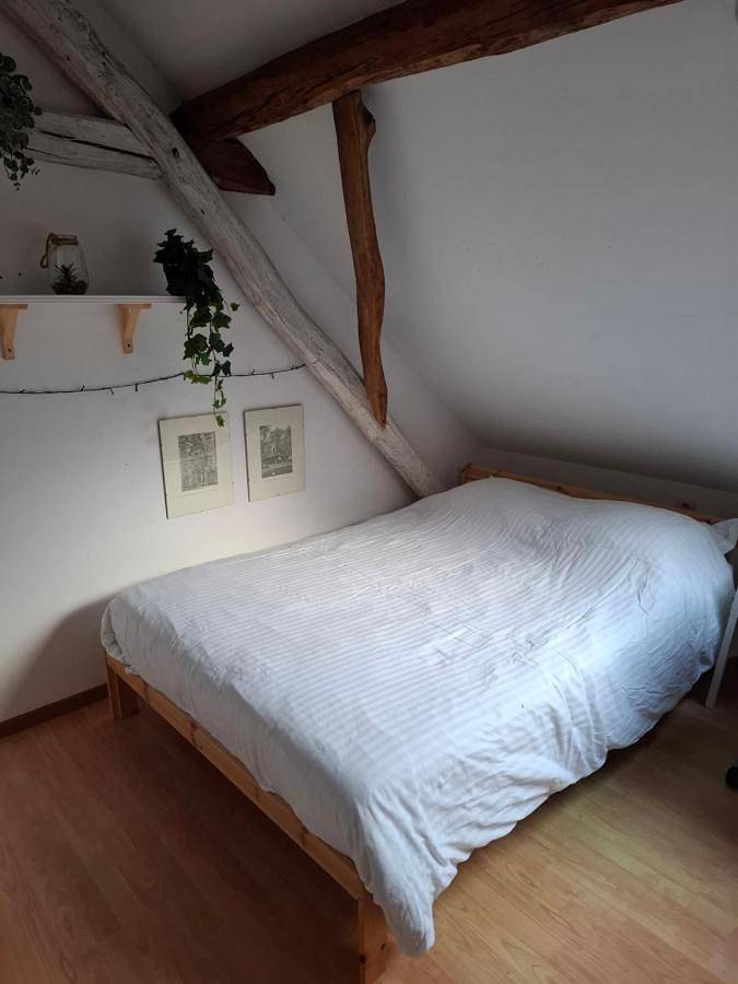 Maison de campagne pour 2 personnes, avec vue ainsi que jardin et sauna à Heist-op-den-Berg - 4