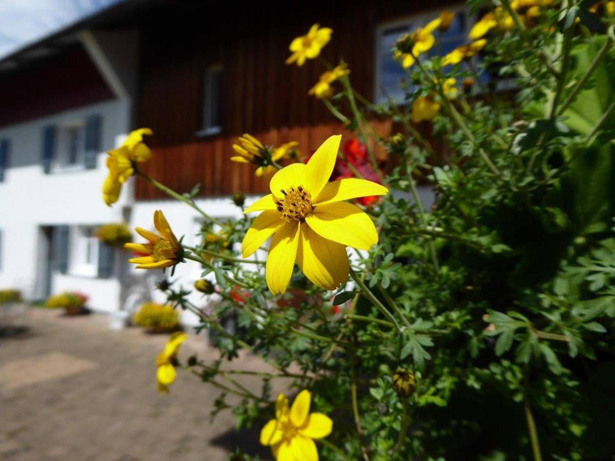 Ganze Wohnung, Ferienwohnung Rupp in Weitnau, Bayerisch Schwaben