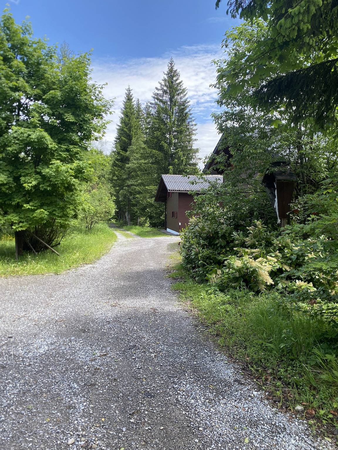 Grande maison de vacances à Schetteregg – Nature, calme et vue panoramique pour toute la famille in Bregenzerwald