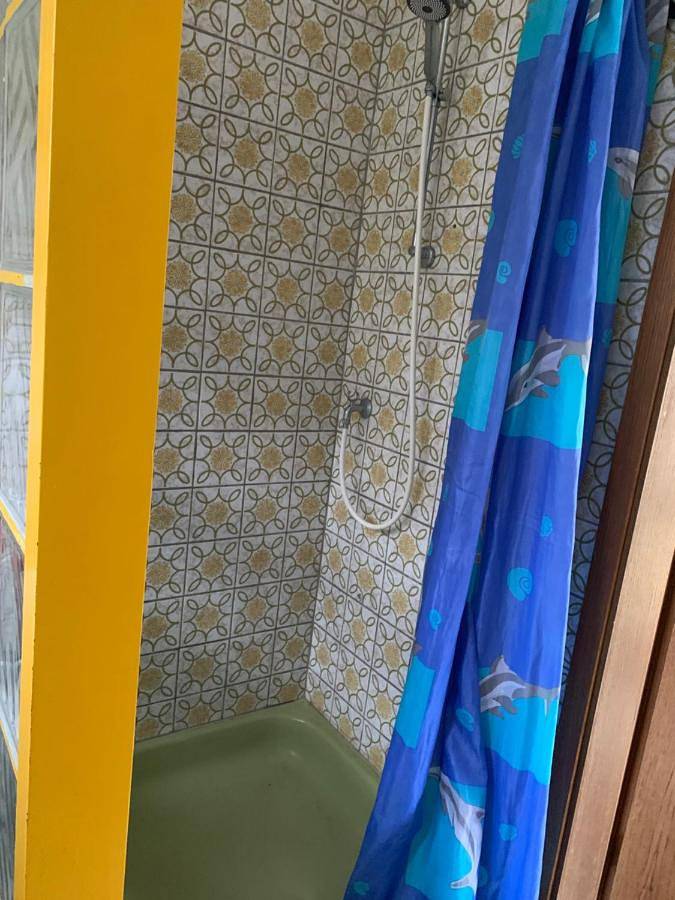 Gîte pour 3 personnes, avec jardin à Brakel - 4