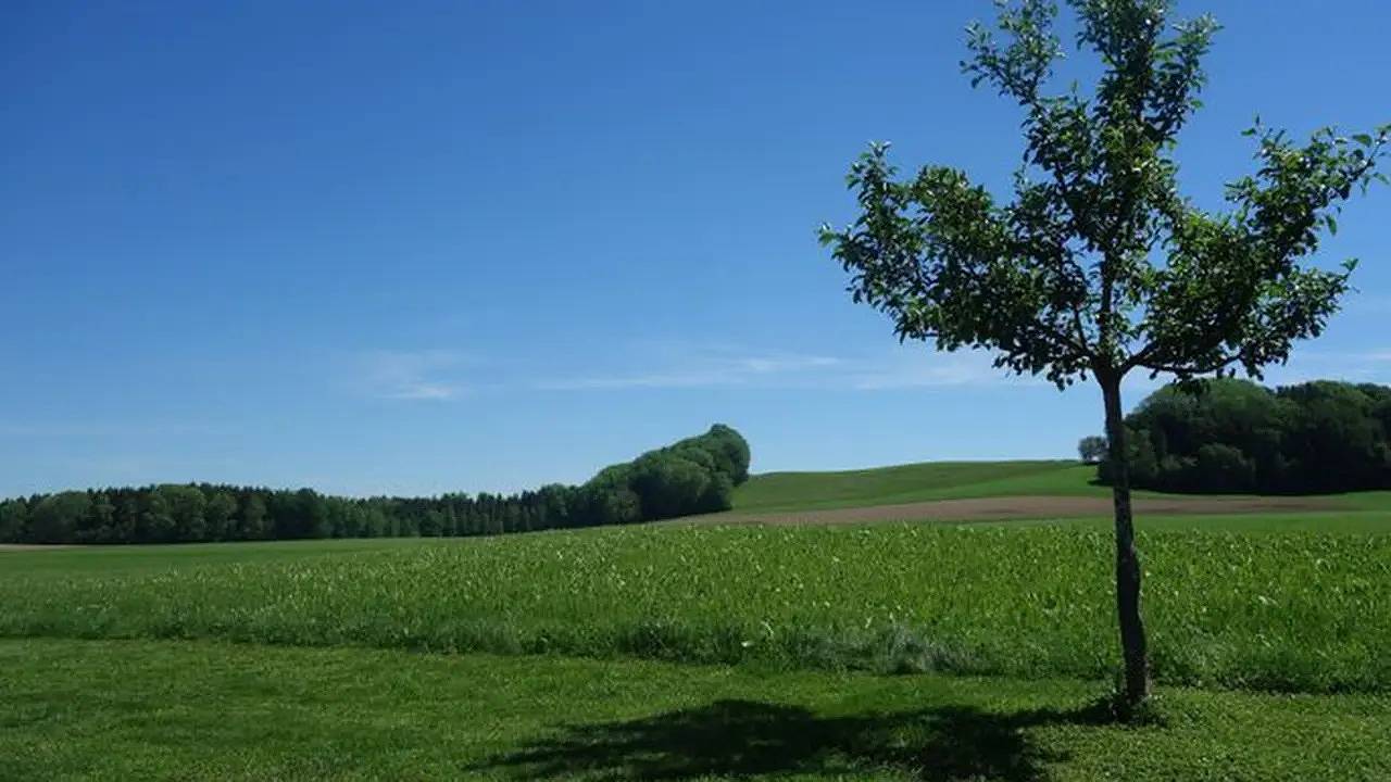 Ganze Ferienwohnung, Ferienwohnung für 4 Personen (50 m²) in Schlier in Schlier, Region Bodensee-Oberschwaben