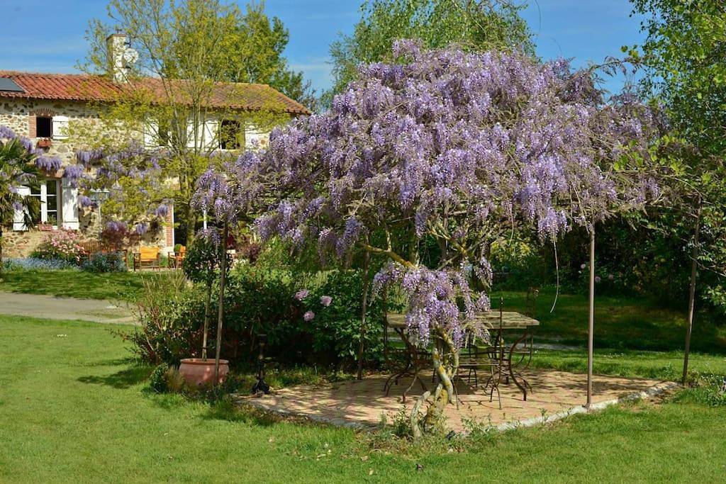 La Frapperie in La Pommeraie-sur-Sèvre, Fontenay-le-Comte