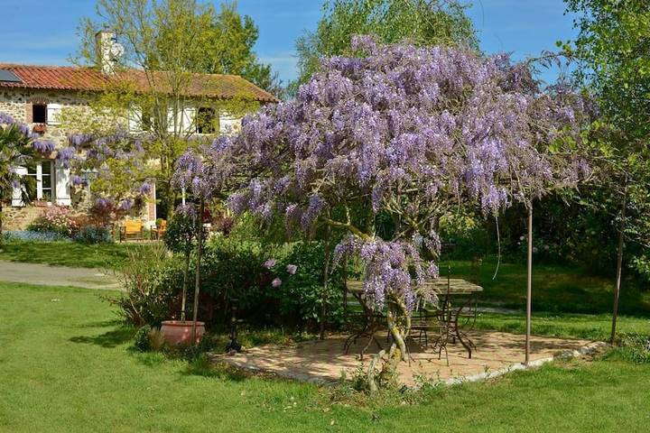 Chambre d’hôte pour 4 personnes, avec jardin et vue dans Sèvremont - 4