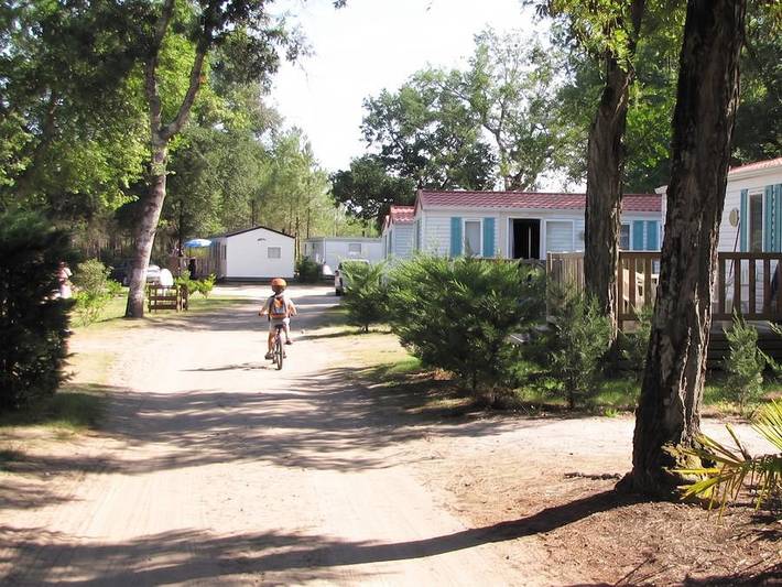 Camping Lou Payou - Mobilheim 8 personen - 6/8 Plätze 3 Schlafzimmer in Lesperon, Landes