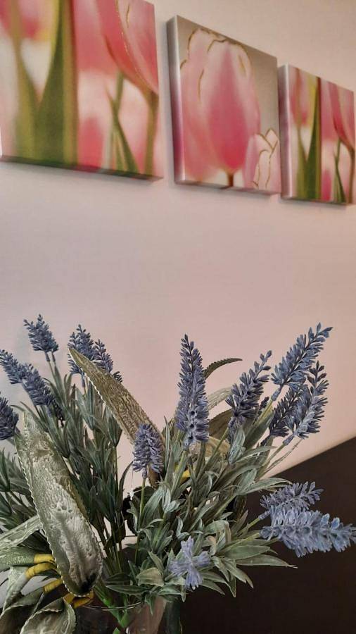Appartamento intero, Apartment in Pimonte, Monti Lattari