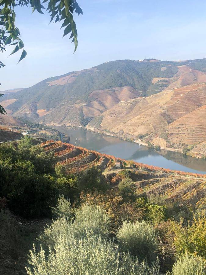 Location de vacances pour 2 personnes, avec piscine ainsi que jardin et vue dans Tabuaço - 2