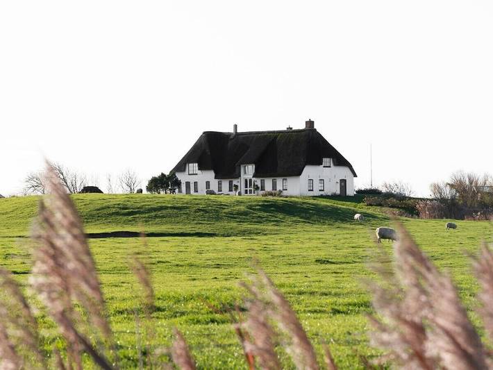 Ferienhaus für 12 Personen, mit Garten und Sauna sowie Terrasse in Pellworm - 3