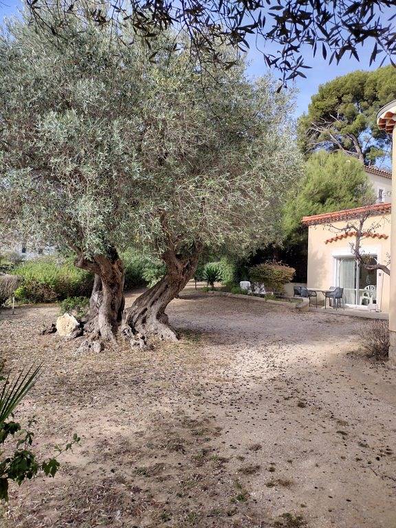 Studio pour 3 personnes, avec terrasse et jardin dans le Var - 4