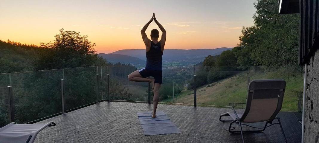 Chalet pour 10 personnes, avec vue et jardin, animaux acceptés à Basse-sur-le-Rupt - 3