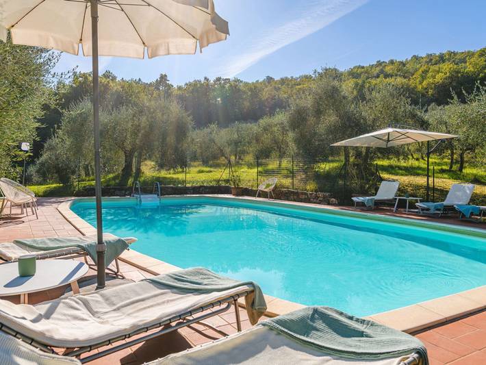 Agriturismo per 16 persone, con terrazza e piscina nonché giardino, con animali domestici a Sinalunga