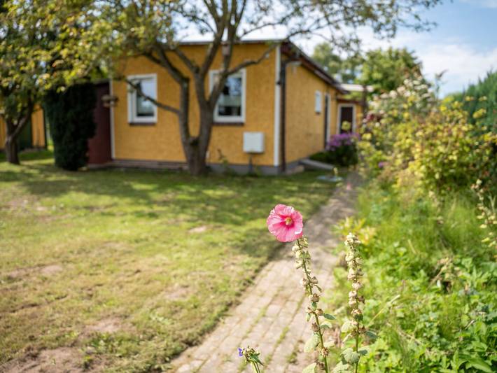 Ferienhaus für 4 Personen, mit Terrasse und Garten, kinderfreundlich in Krummin - 3