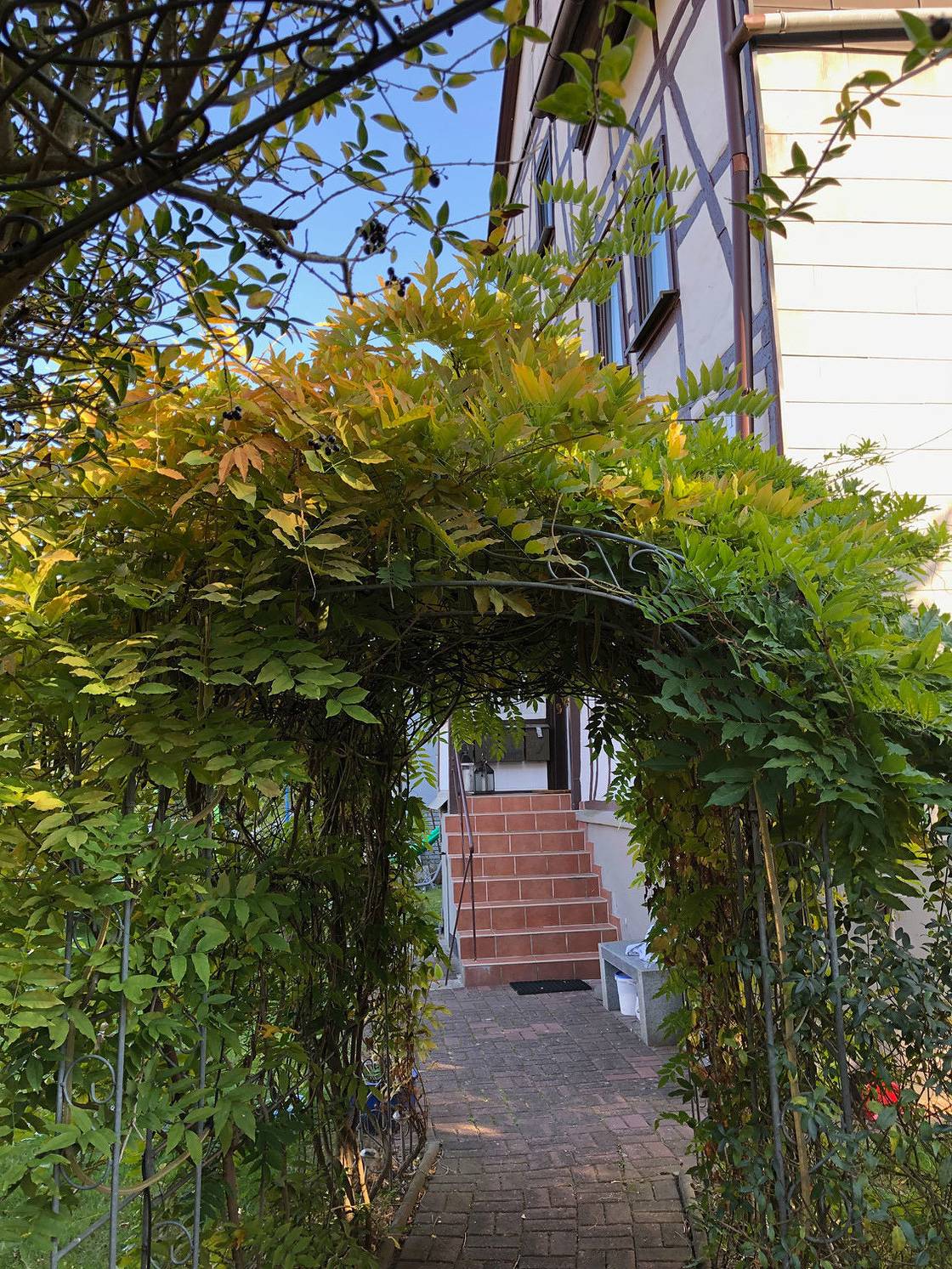 Geheel vakantieappartement, Vakantieappartement voor 2 personen met tuin in Harleshausen, Kassel
