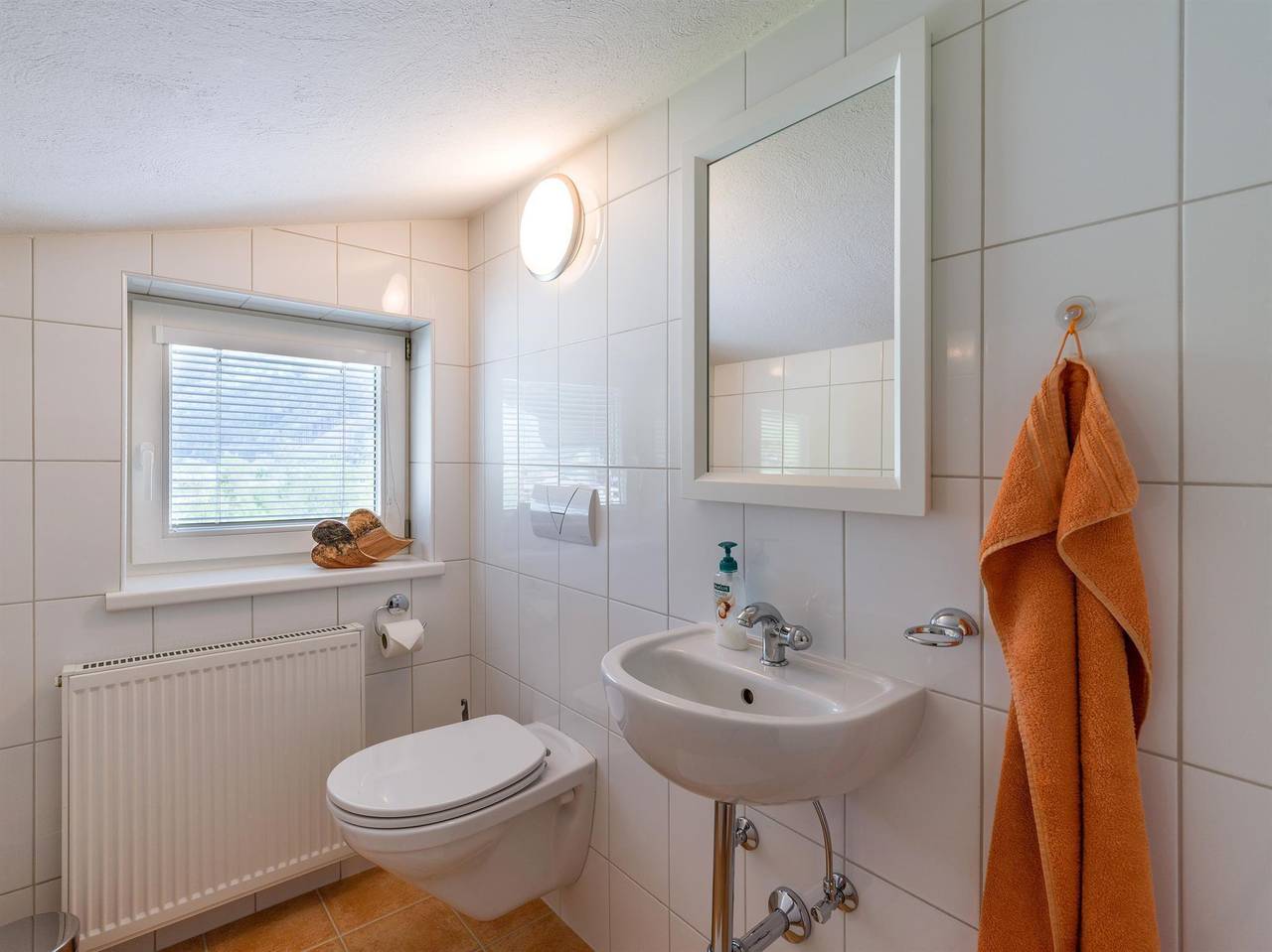 Ganze Ferienwohnung, Appartement Ahorn in Zell am Ziller, Zillertaler Alpen