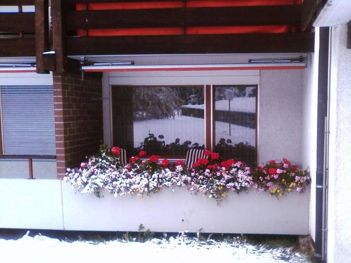 Hütte für 4 Personen, mit Balkon und Pool sowie Garten und Sauna in Arosa - 3