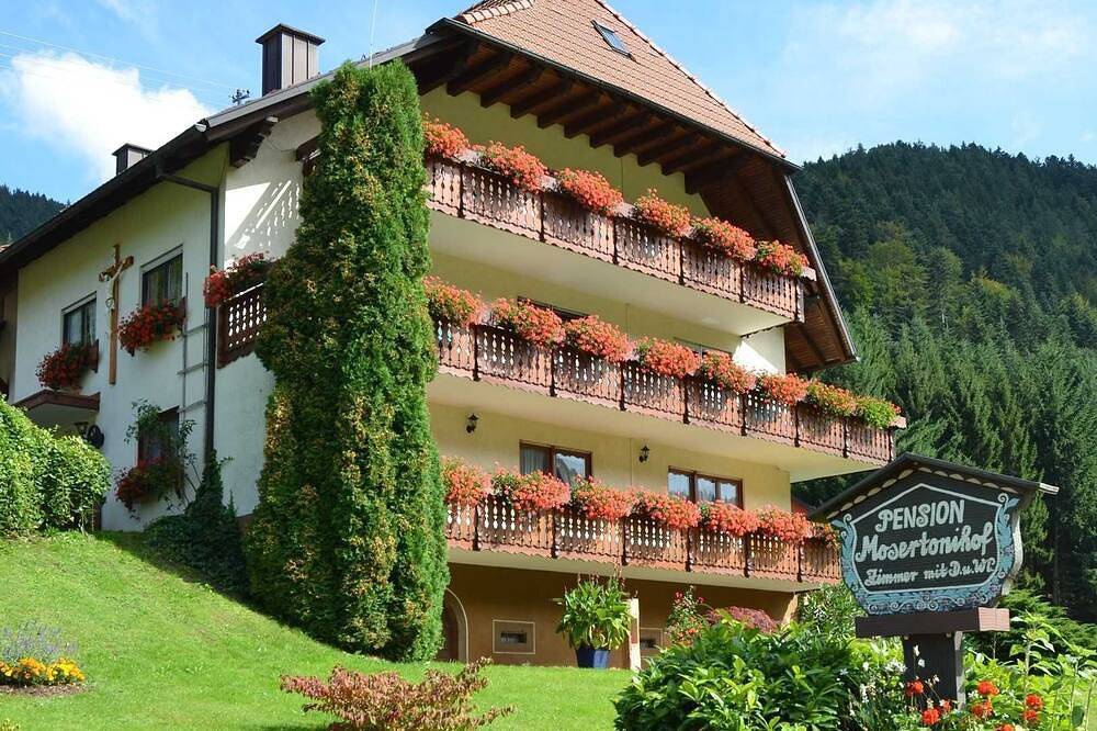 Ganze Wohnung, Ferienwohnung Talblick - Mosertonihof in Elzach, Mittlerer Schwarzwald