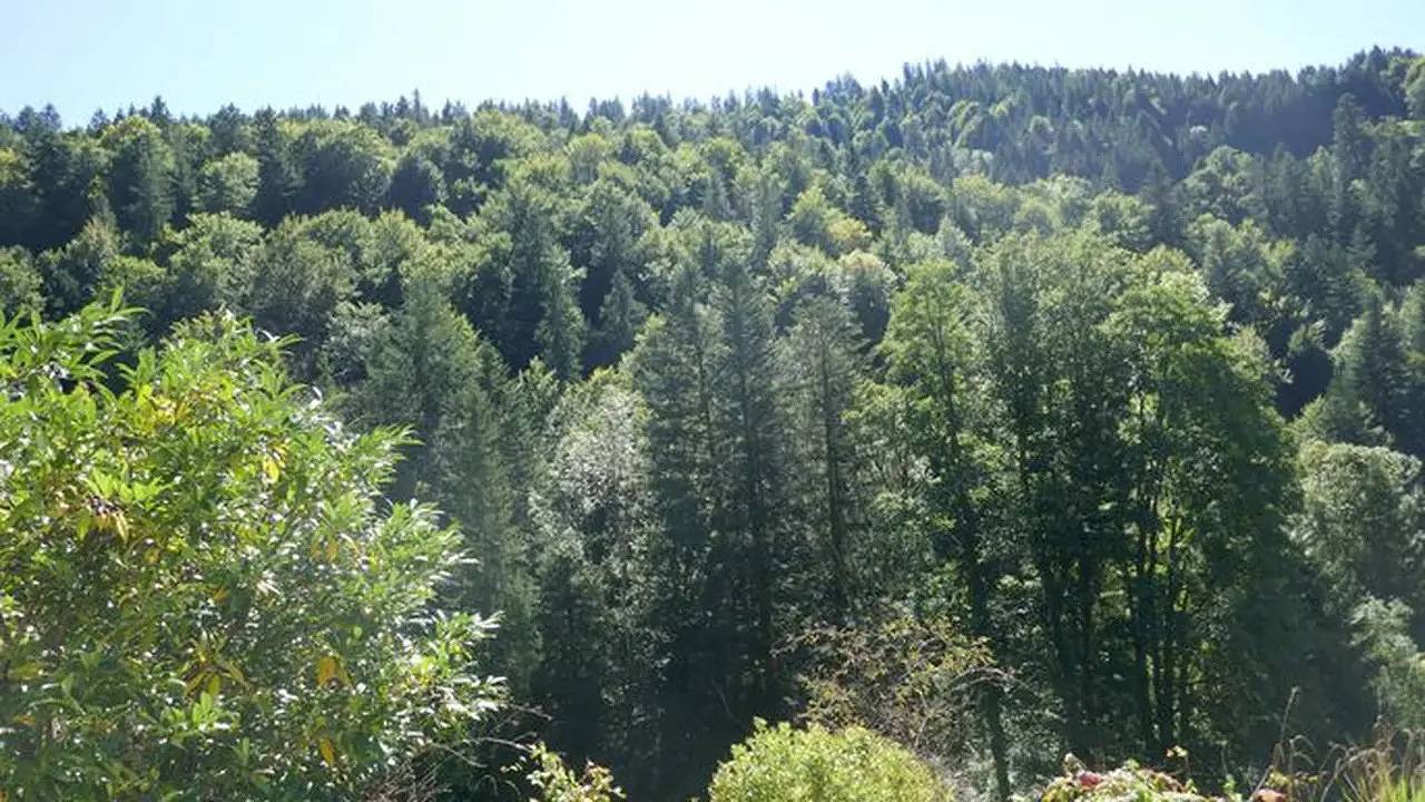 Apartamento vacacional entero, Ferienwohnung für 6 Personen (200 m²) in Alpes Bávaros