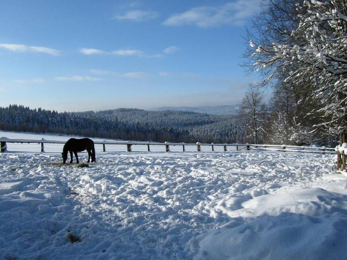 Ferienhaus für 4 Personen, mit Garten und Ausblick in Böbrach - 2