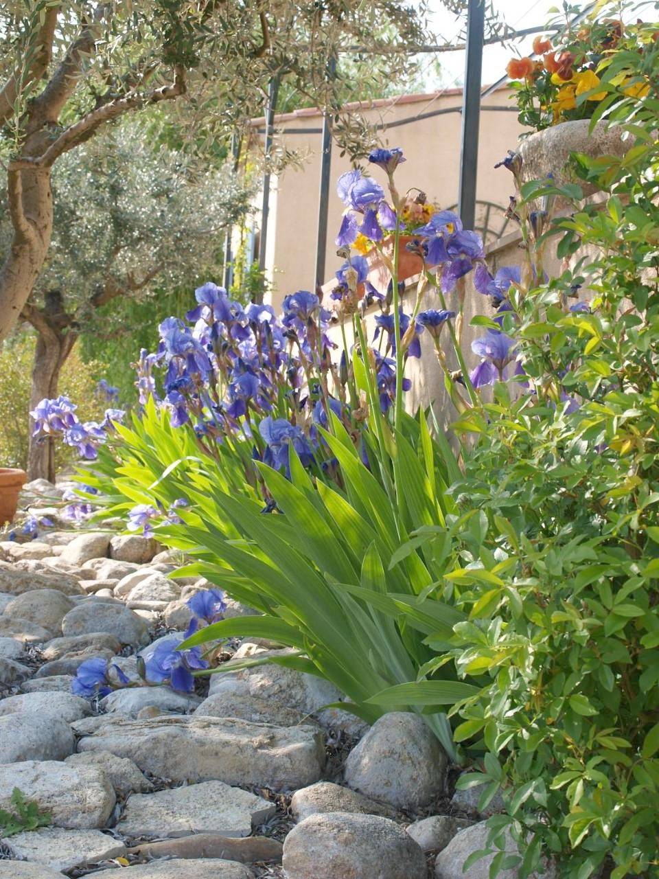 Jardin d'antan in Ansouis, Parc naturel régional du Luberon