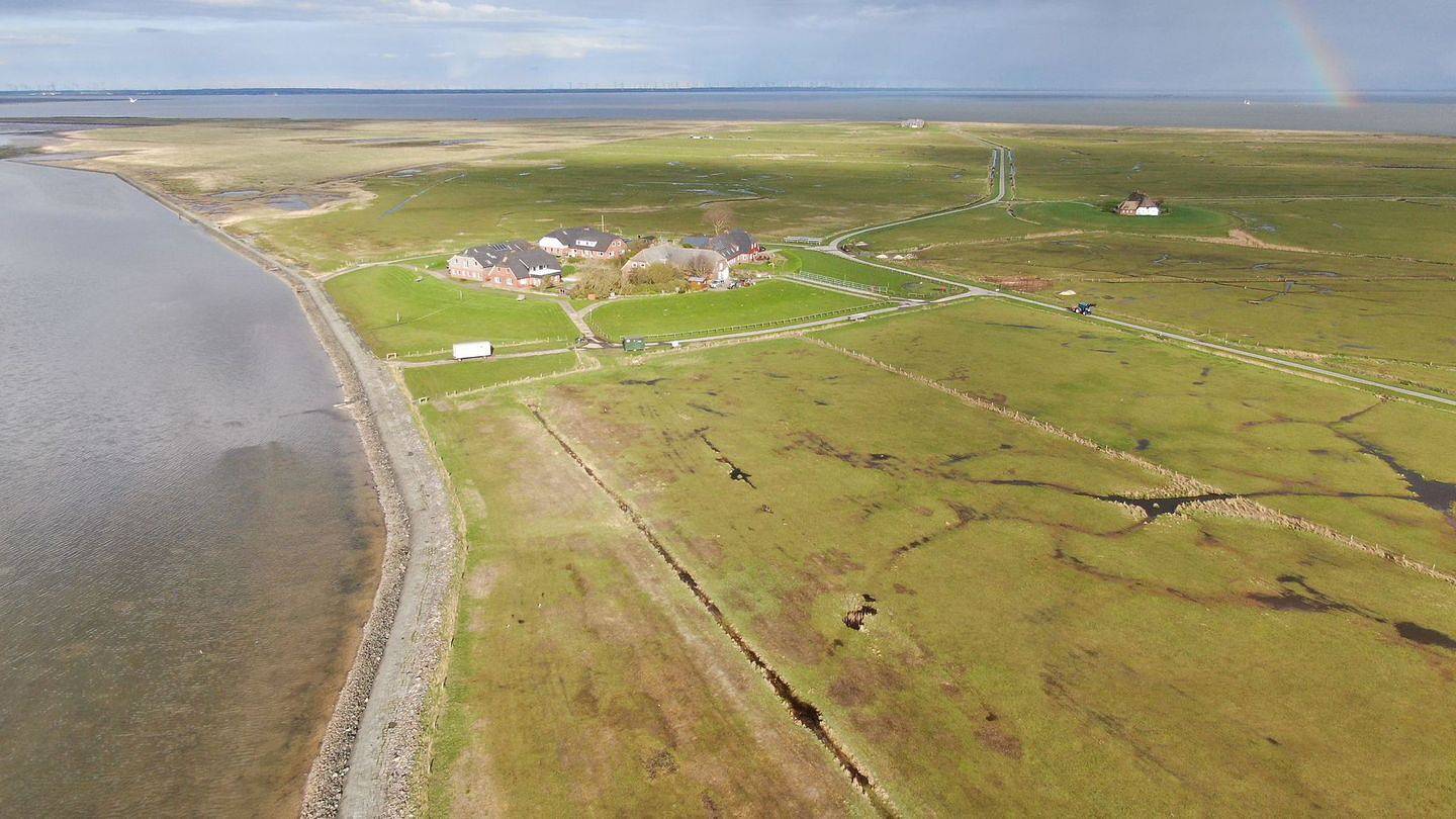 Ganze Wohnung, Erleben Sie erholsame Tage in unserer gemütlichen 3-Raum-Wohnung auf Langeneß. Hallig in Langeneß, Halligen