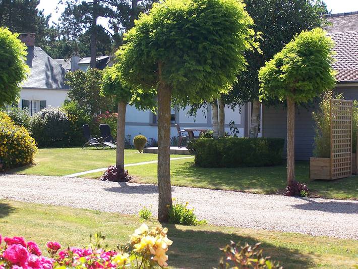 Gîte pour 4 personnes, avec terrasse et jardin, animaux acceptés à Sotteville-sur-Mer - 3