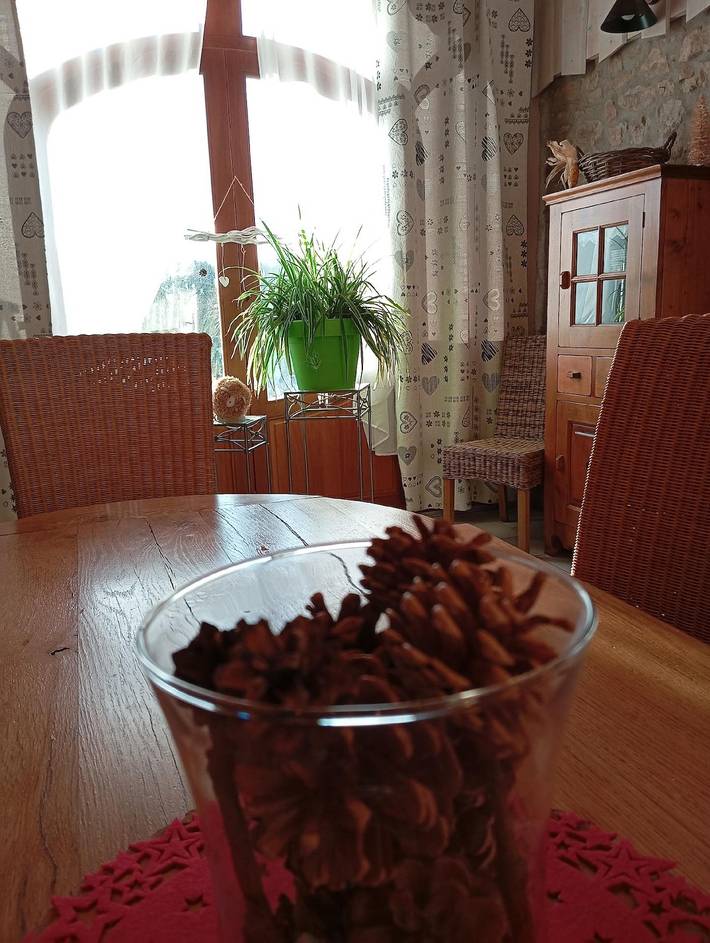 Location de vacances pour 12 personnes, avec terrasse et jardin dans Jussarupt - 4