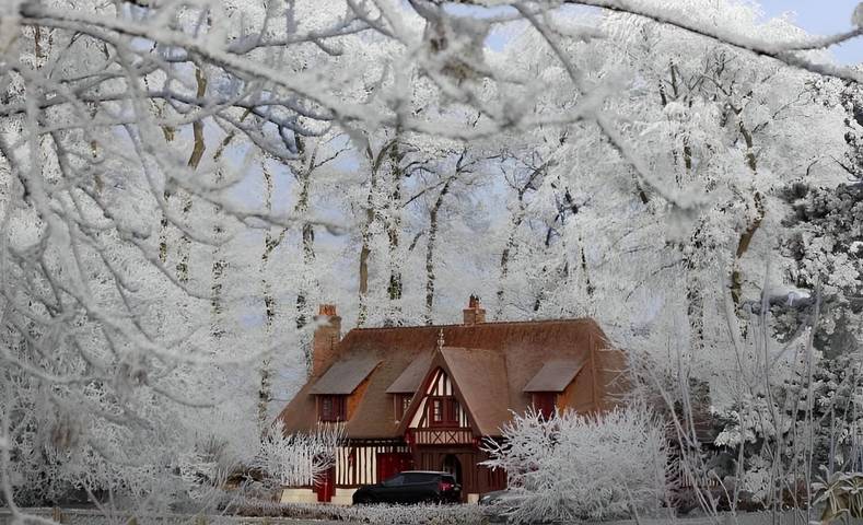 Chambre d’hôte pour 2 personnes, avec jardin, animaux acceptés en Seine-Maritime - 4
