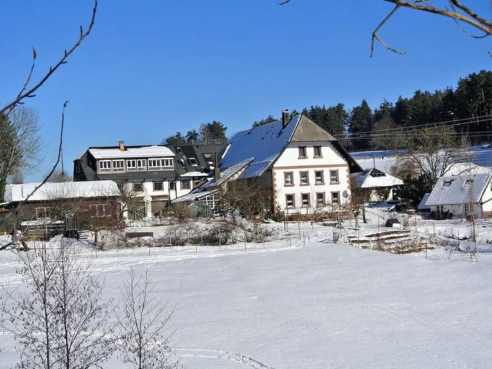 Ferienhaus für 6 Personen, mit Sauna und Garten sowie Pool im Schwarzwald - 3