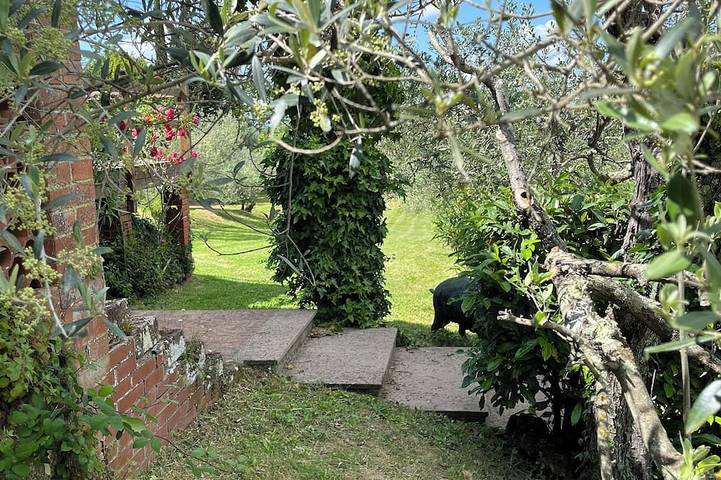 Casa isolata con piscina privata. Bellissimi giardini. Viste mozzafiato in Volterra, Pisa e dintorni