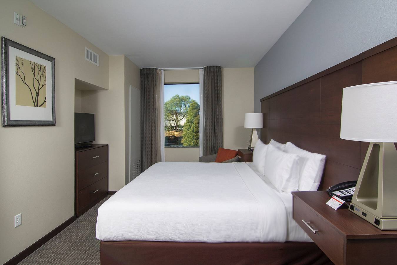 Ganze Wohnung, Staybridge Suites Carlsbad - San Diego in Carlsbad, San Diego County
