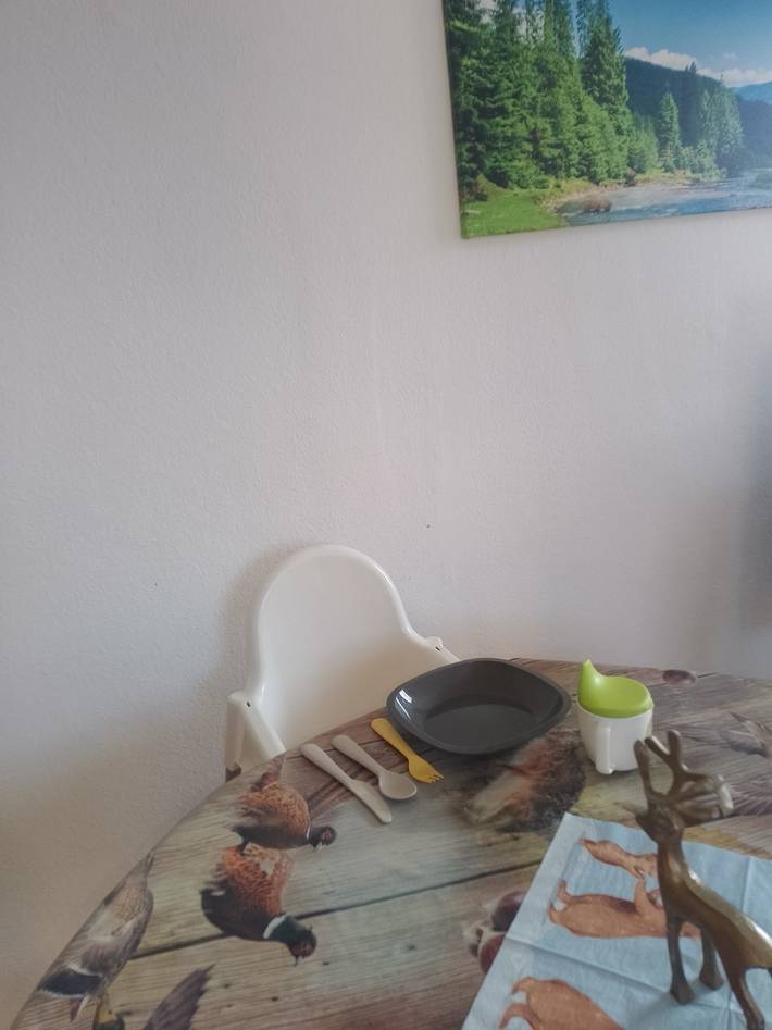 Ganze Ferienwohnung, Ferienwohnung Waldrausch in Mitteltal, Baiersbronn