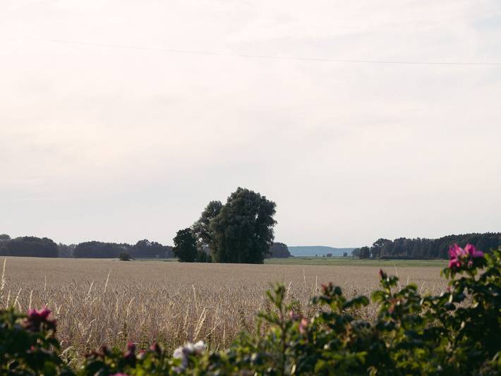 Ferienwohnung für 4 Personen, mit Garten und Terrasse, mit Haustier in Rankwitz - 2