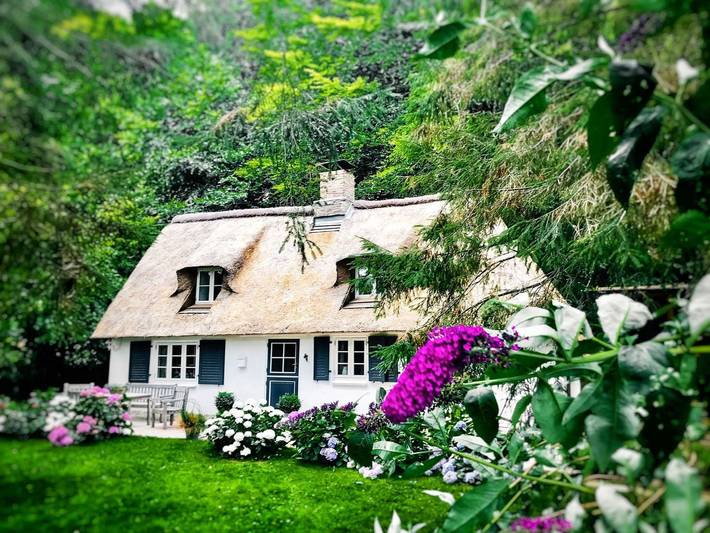 Ferienhaus für 4 Personen, mit Sauna und Terrasse sowie Garten, mit Haustier in Rabenkirchen-Faulück - 2