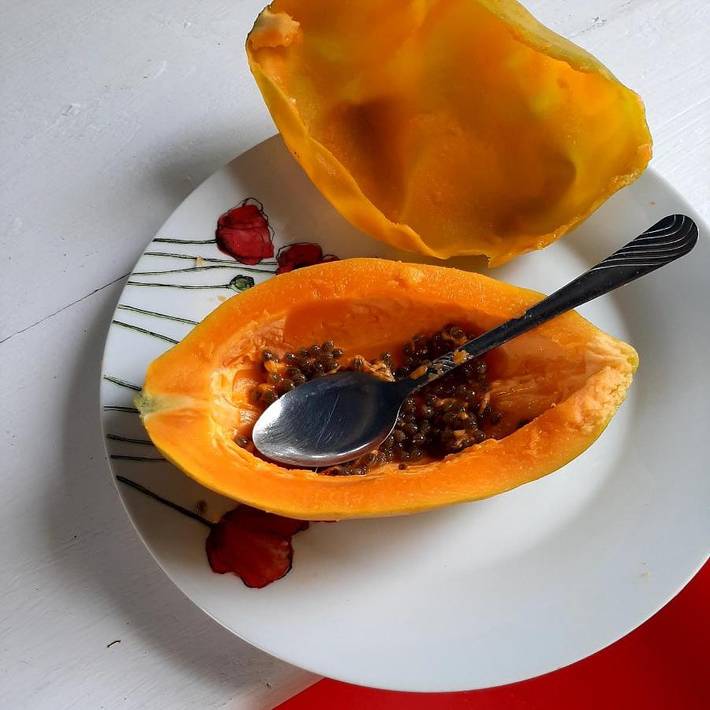 Chambre d’hôte pour 2 personnes, avec jardin et vue à Le Gosier - 3