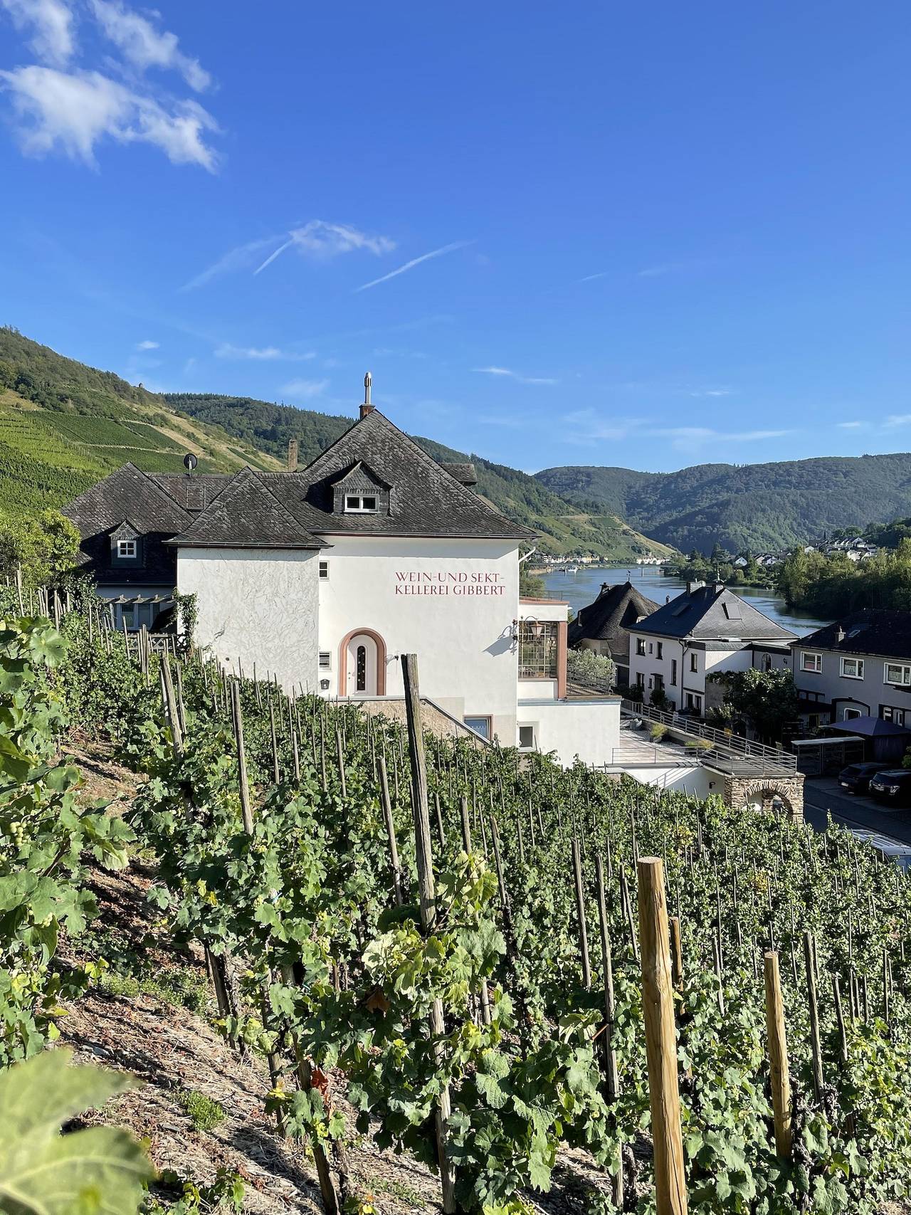Ganze Ferienwohnung, The Vineyard View ab 1 Woche in Zell Stadt (Mosel), Zell (Mosel)